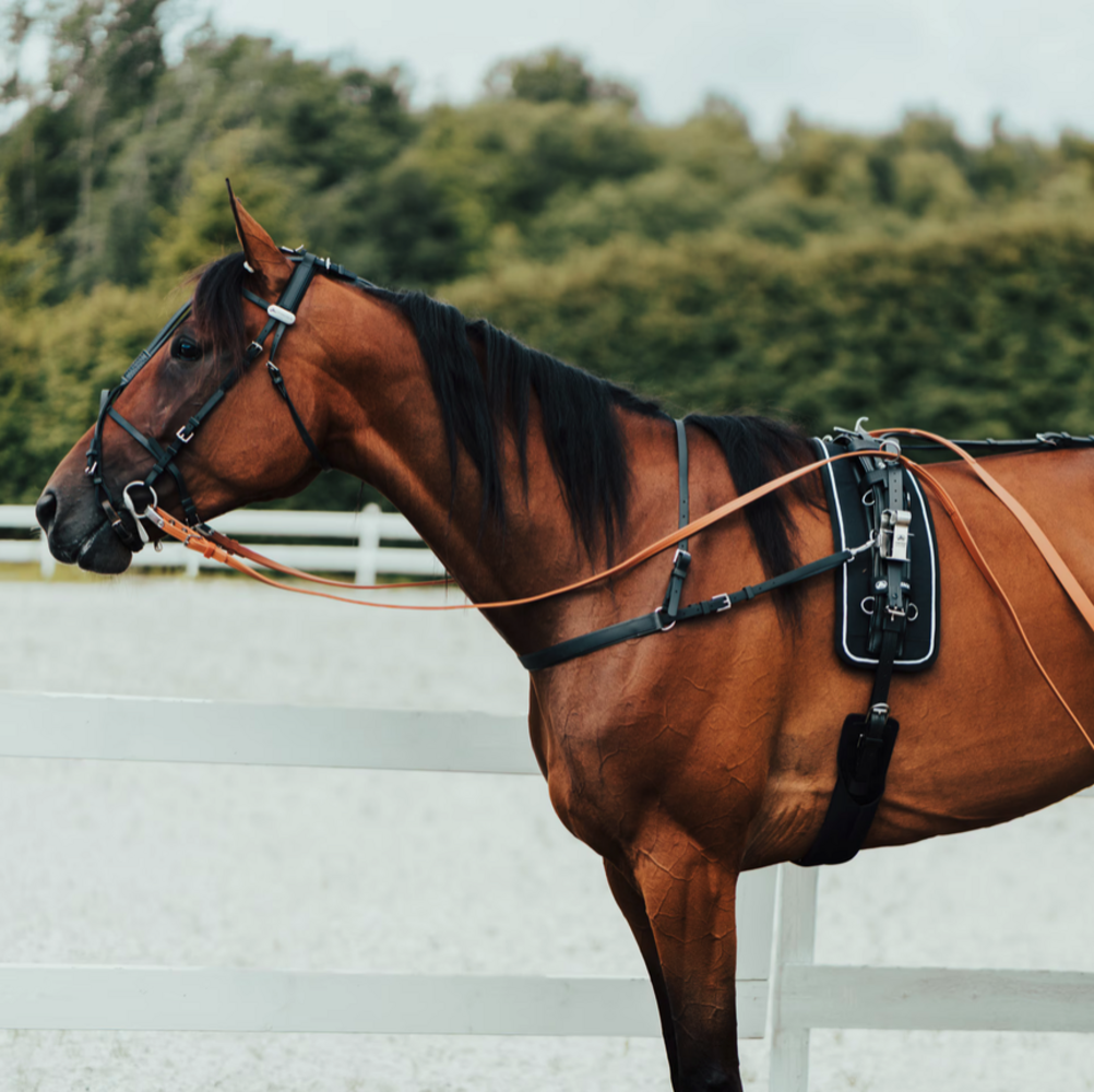 FinnTack Harnais QH compleet sythetisch