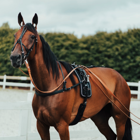 FinnTack Harnais QH compleet sythetisch