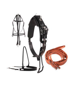 Racing Tack Sellette QH complet