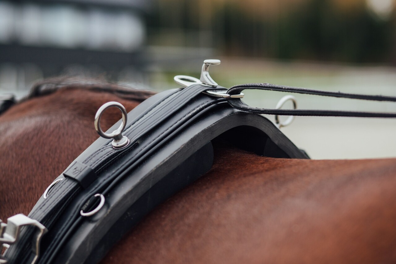 FinnTack Lightweight training harness