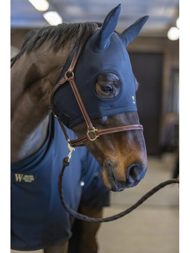 Wahlstén Titanium hood with ears Wahlstén Titanium hood with ears