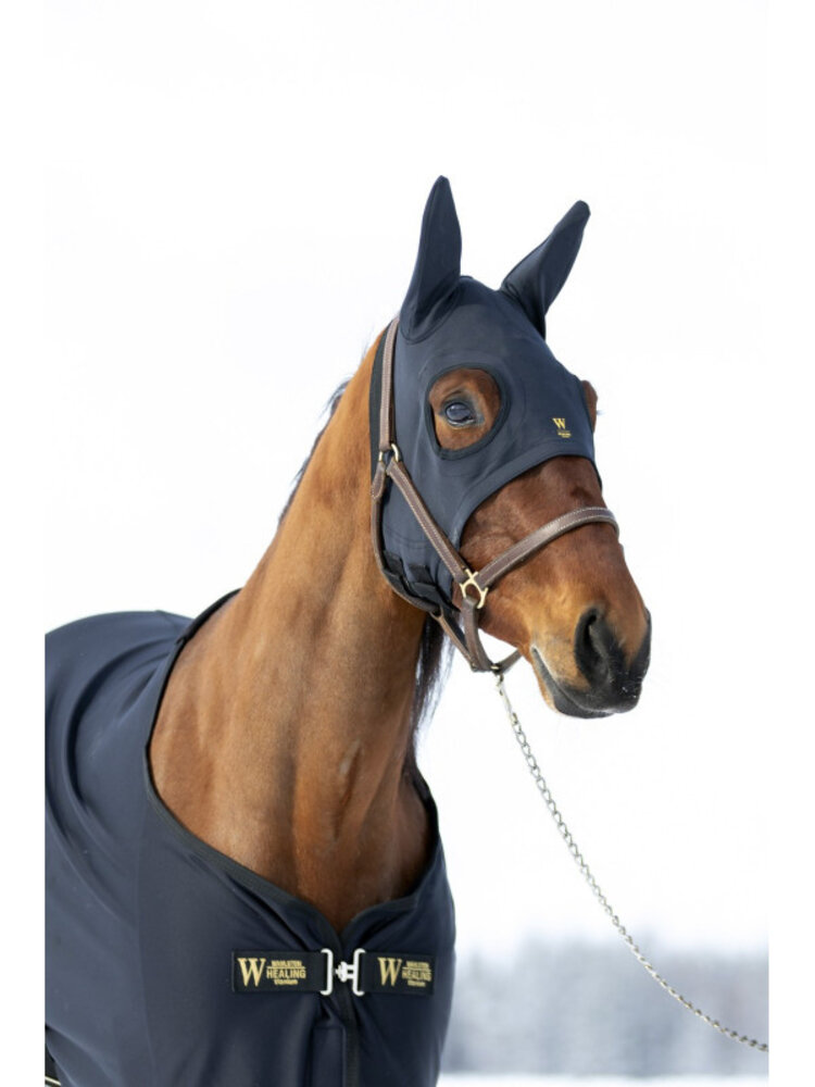 Wahlstén Titanium hood with ears Wahlstén Titanium hood with ears