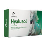 Equality Hyalusol
