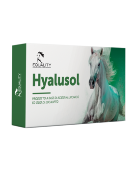Equality Hyalusol