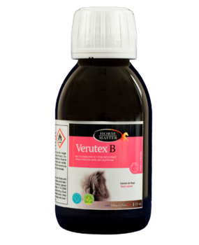 Horse master Verutex B