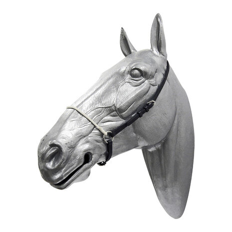 Head halter with rope