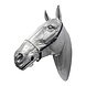 Head halter with rope