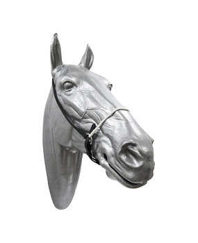 Head halter with rope