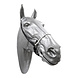 Head halter with rope