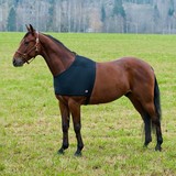 Shoulder protector