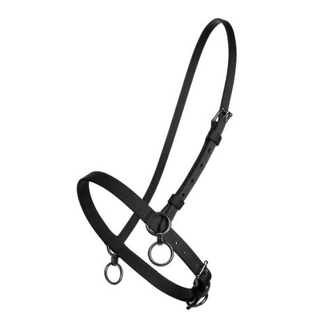 FinnTack Petit licol nylon FinnTack Petit licol nylon