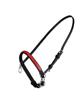 FinnTack Petit licol nylon