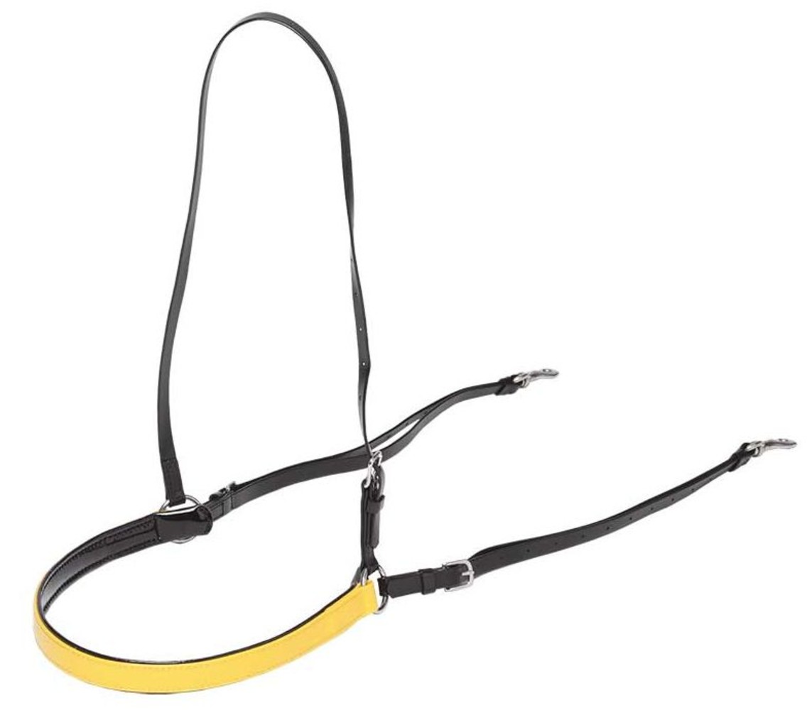 Zilco French breastplate Zilco conventional