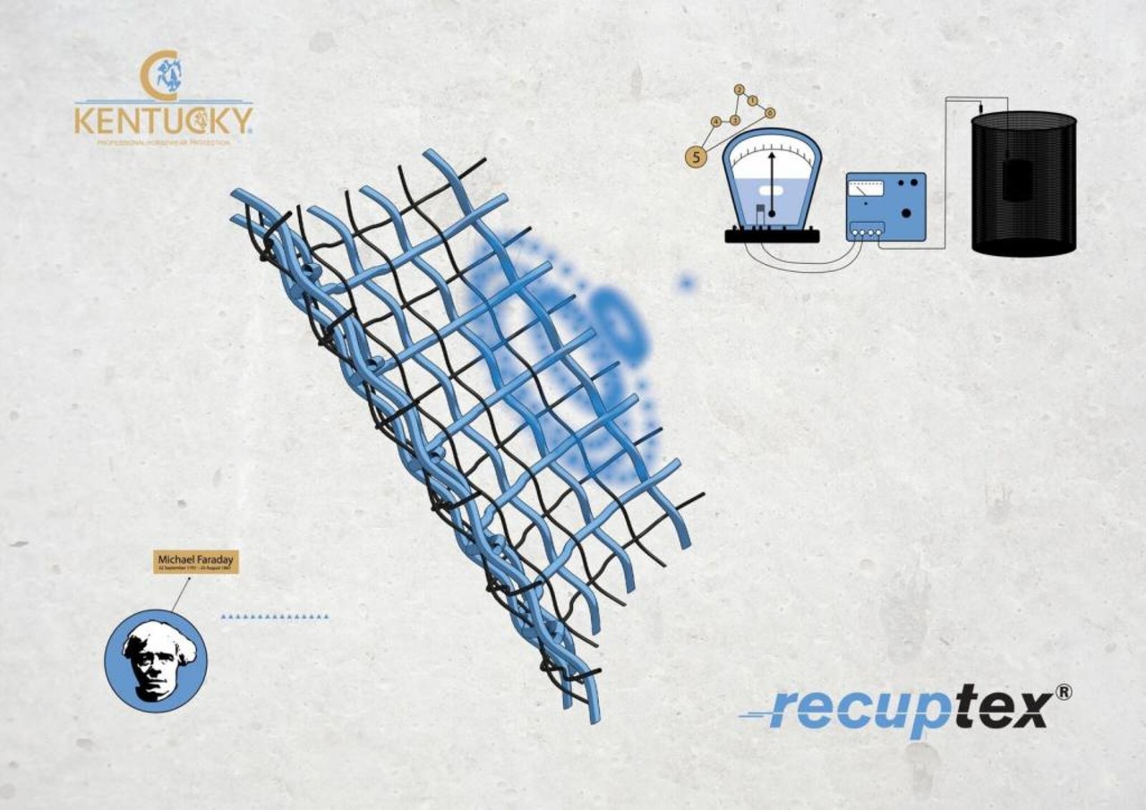 Kentucky Magnetische stalbeschermers Recuptex Kentucky Magnetische stalbeschermers Recuptex