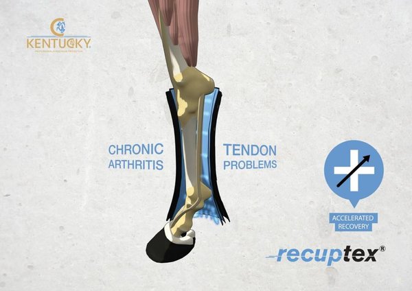 Kentucky Guêtres de repos magnétiques recuptex Kentucky Guêtres de repos magnétiques recuptex