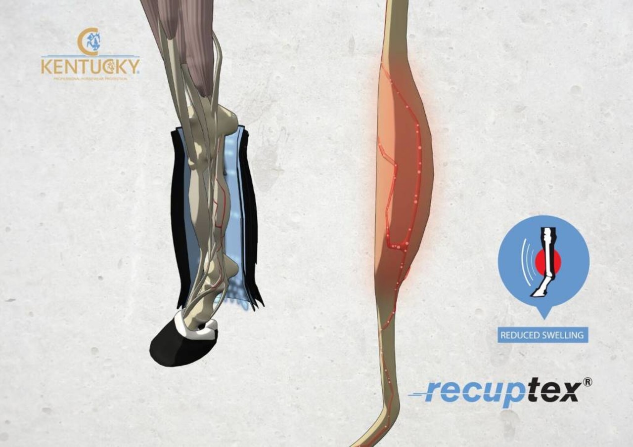 Kentucky Guêtres de repos magnétiques recuptex Kentucky Guêtres de repos magnétiques recuptex