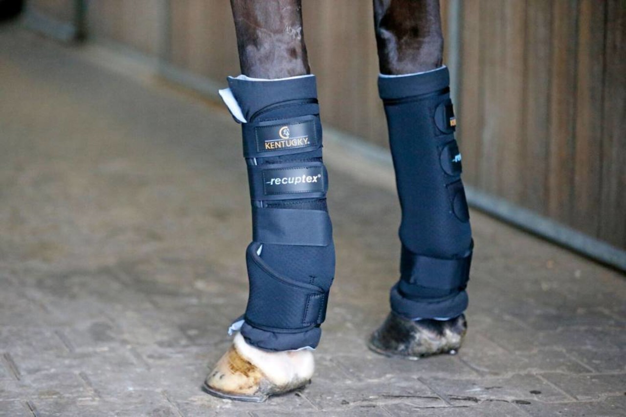 Kentucky Magnetische stalbeschermers Recuptex Kentucky Magnetische stalbeschermers Recuptex