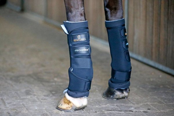 Kentucky Magnetische stalbeschermers Recuptex Kentucky Magnetische stalbeschermers Recuptex