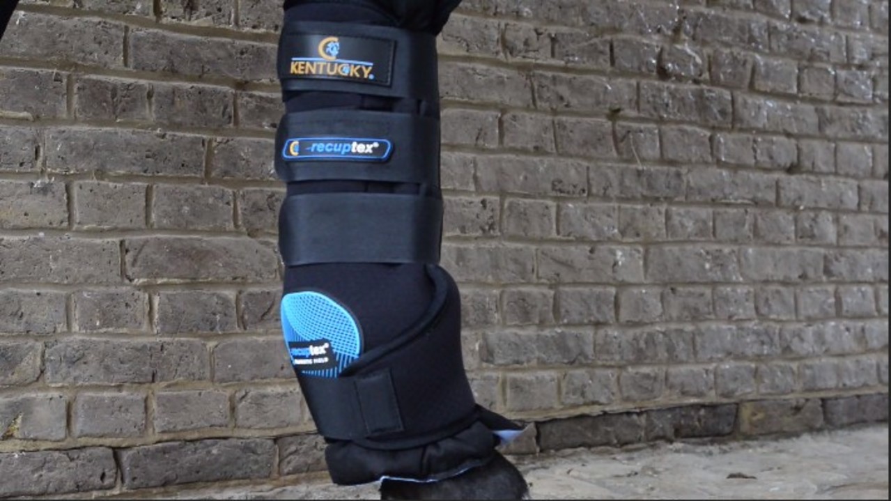 Kentucky Guêtres de repos magnétiques recuptex Kentucky Guêtres de repos magnétiques recuptex