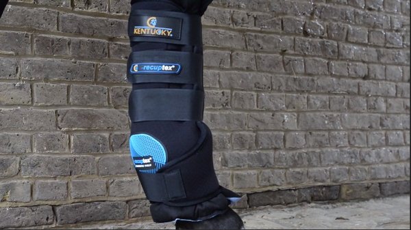 Kentucky Magnetische stalbeschermers Recuptex Kentucky Magnetische stalbeschermers Recuptex