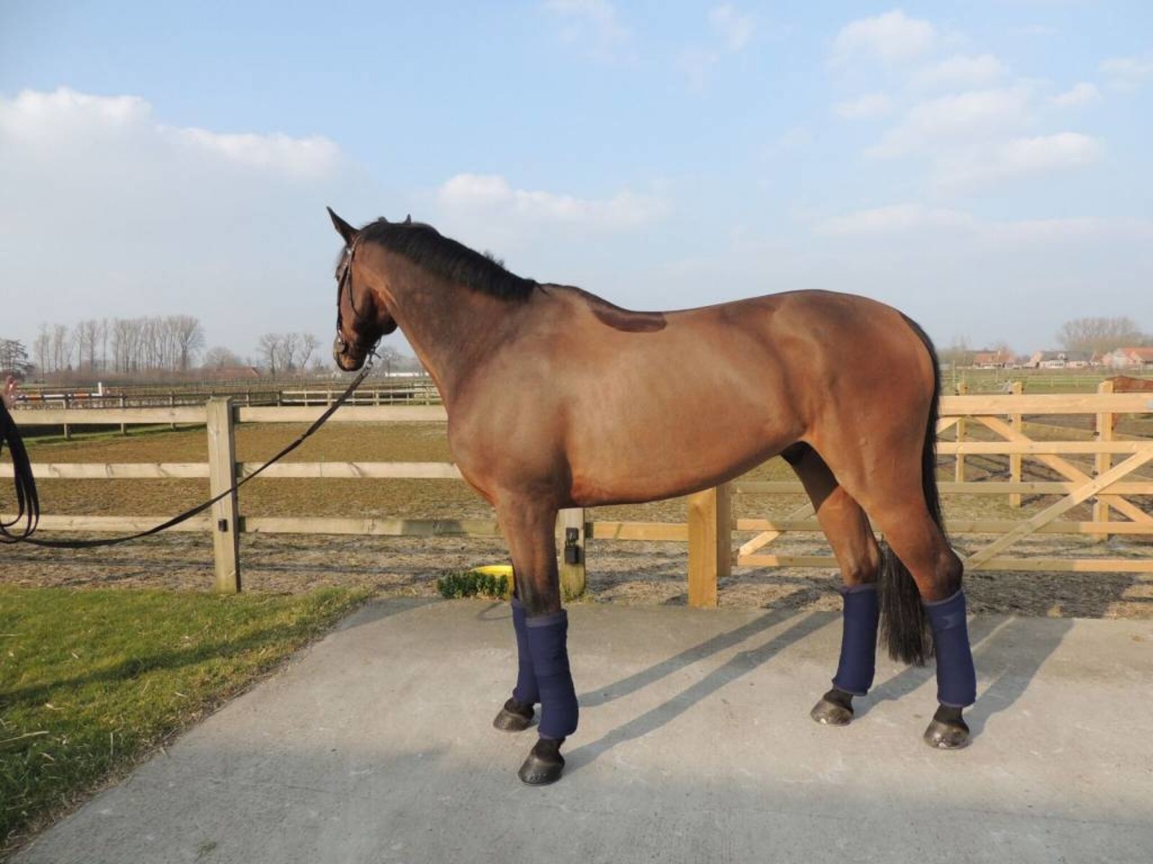 Kentucky Bande de respos