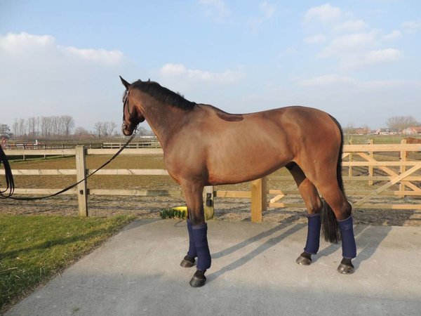 Kentucky Bande de respos