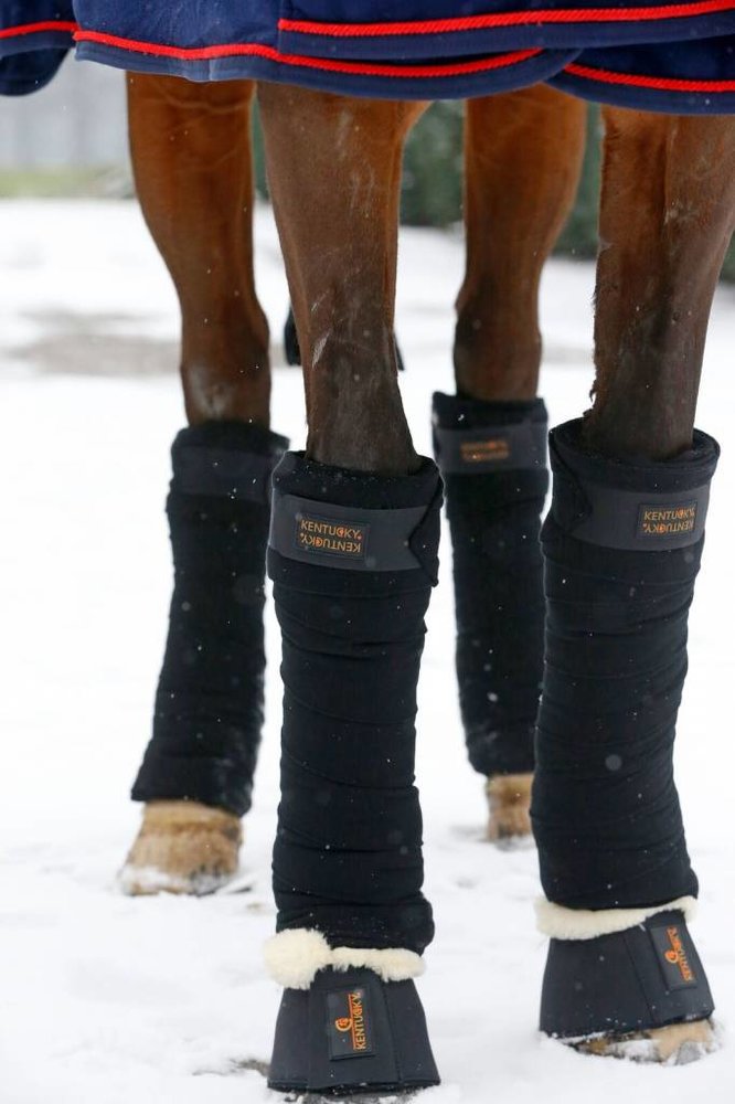 Kentucky Bandages wol