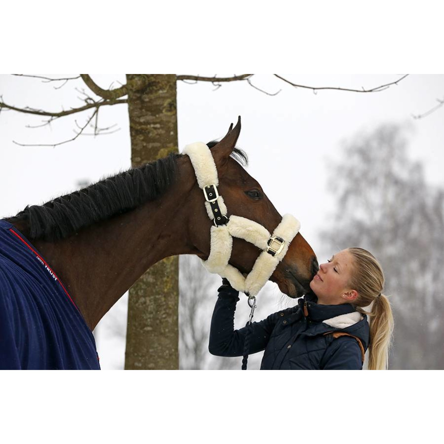 kentucky-sheepskin-shipping- 