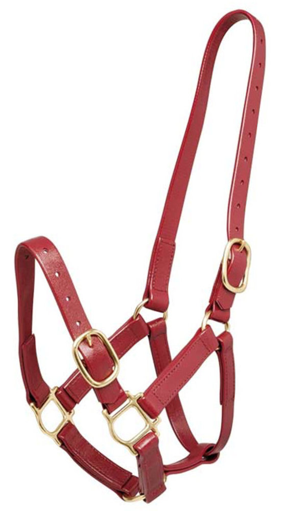 Zilco Zilco 25mm halter