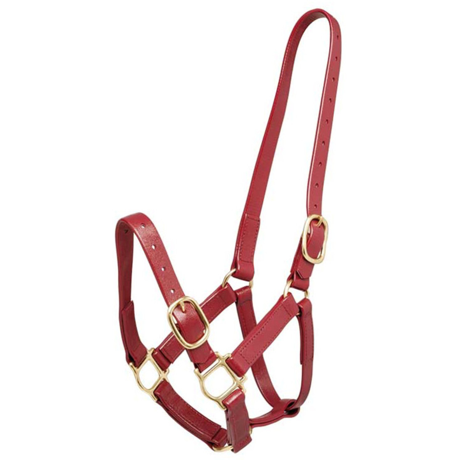 Zilco halter - Trotdirect