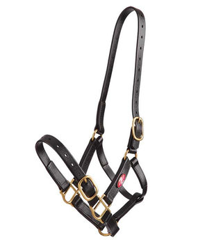 Zilco Halter 25mm beta