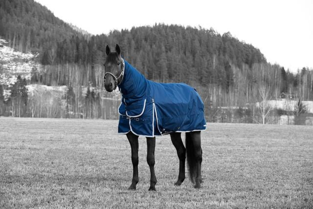 FinnTack Couverture d'hiver Combo