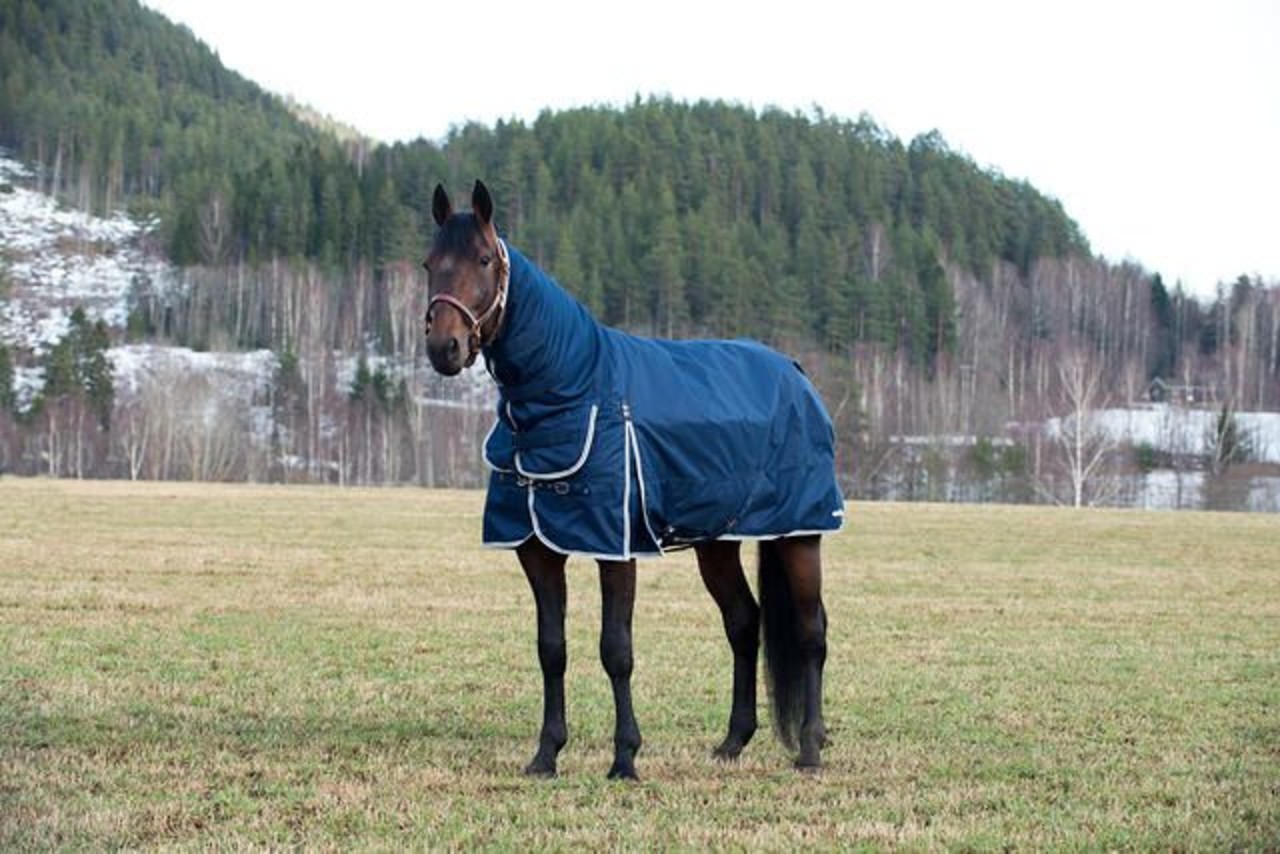 FinnTack Winter rug Combo
