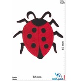 Bugs Marienkäfer - Ladybug