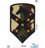 1st Cavalry 15th Sustainment Brigade, 1st US Cav Division - camouflage