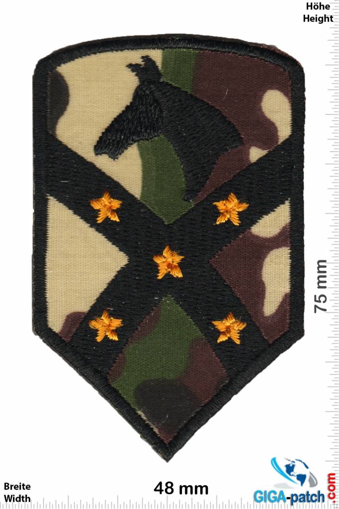 1st Cavalry 15th Sustainment Brigade, 1st US Cav Division - camouflage