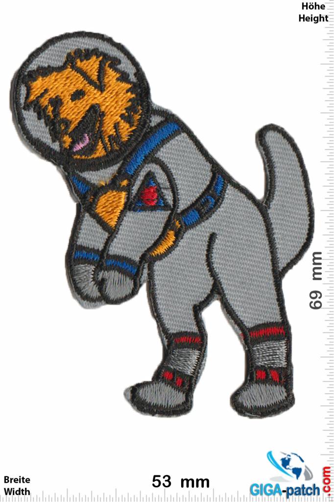 Nasa Spacedog - Nasa - Weltraum