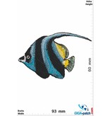 Fisch Fisch - Meeresfisch - blau schwarz