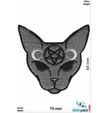 Pentagramm Pentagram Cat- Katze