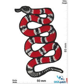 Snake King Snake - Snake