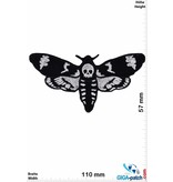 Totenkopf Acherontia - Death's-head hawkmoth - Totenkopf Motte