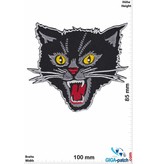 Cat Angry  Cat - Katze - HQ