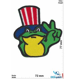 Fun USA Frog