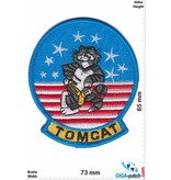 U.S. Navy F14 - Tomcat -USA