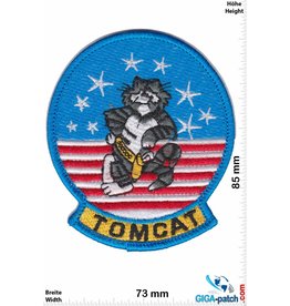 U.S. Navy F14 - Tomcat -USA