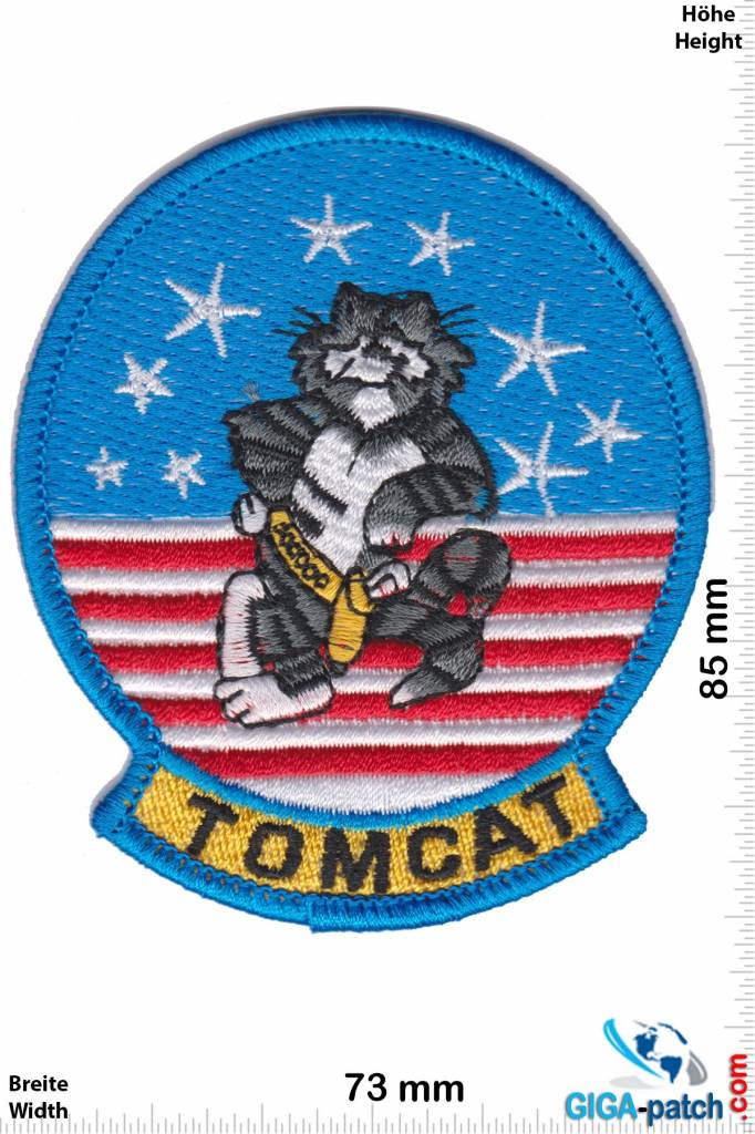 U.S. Navy F14 - Tomcat -USA