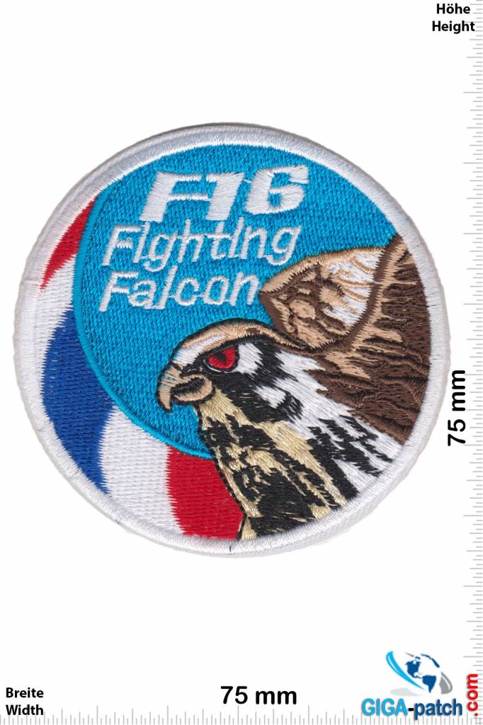 F 16 F-16 Fighting Falcon - USA Army HQ - small