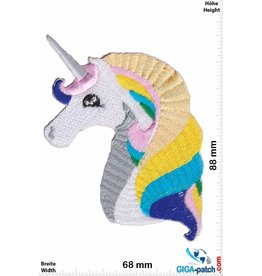 Unicorn Unicorn -  rainbow