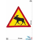 Fun Attention Moose