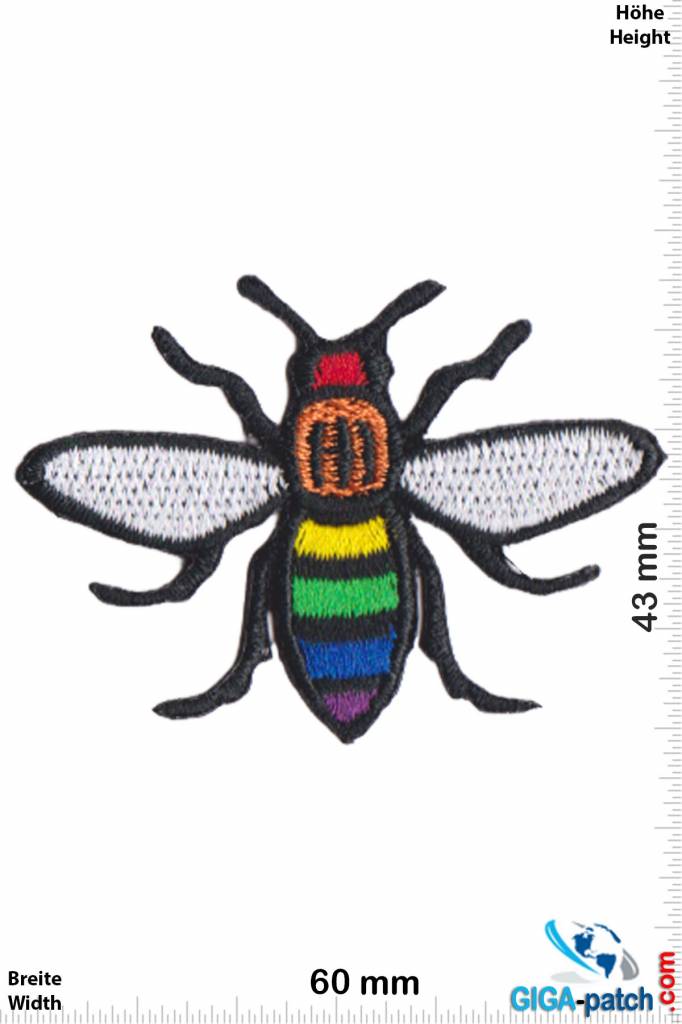 Rainbow   Rainbow Fly